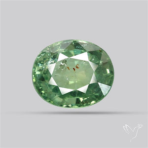 Faceted Green Multi Sapphire Fine Gemstone