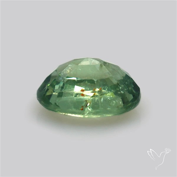 Faceted Green Multi Sapphire Fine Gemstone