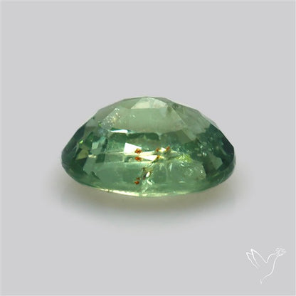 Faceted Green Multi Sapphire Fine Gemstone