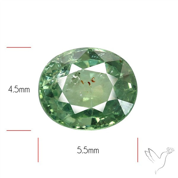 Faceted Green Multi Sapphire Fine Gemstone