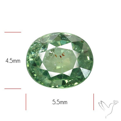 Faceted Green Multi Sapphire Fine Gemstone
