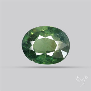 Faceted Green Multi Sapphire Fine Gemstone