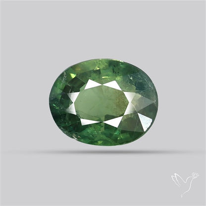 Faceted Green Multi Sapphire Fine Gemstone