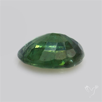 Faceted Green Multi Sapphire Fine Gemstone