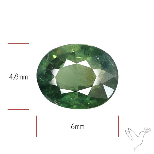 Faceted Green Multi Sapphire Fine Gemstone