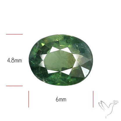 Faceted Green Multi Sapphire Fine Gemstone