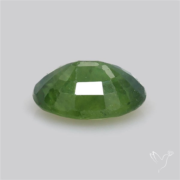 Faceted Green Multi Sapphire Fine Gemstone