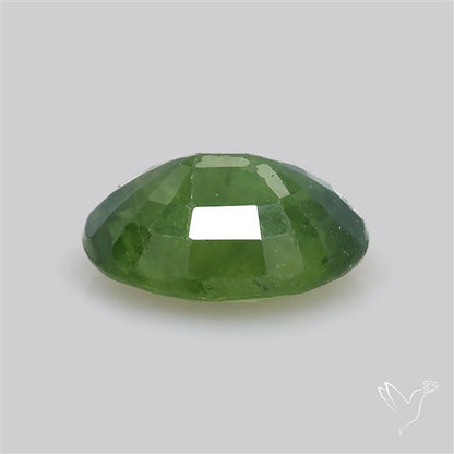 Faceted Green Multi Sapphire Fine Gemstone