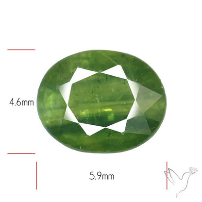 Faceted Green Multi Sapphire Fine Gemstone