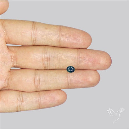 Faceted Blue Sapphire Fine Gemstone