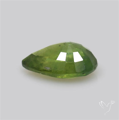 Faceted Green Multi Sapphire Fine Gemstone