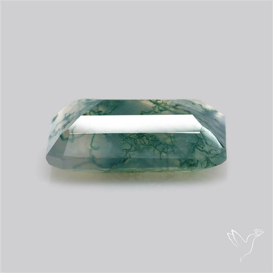 Faceted Moss Agate