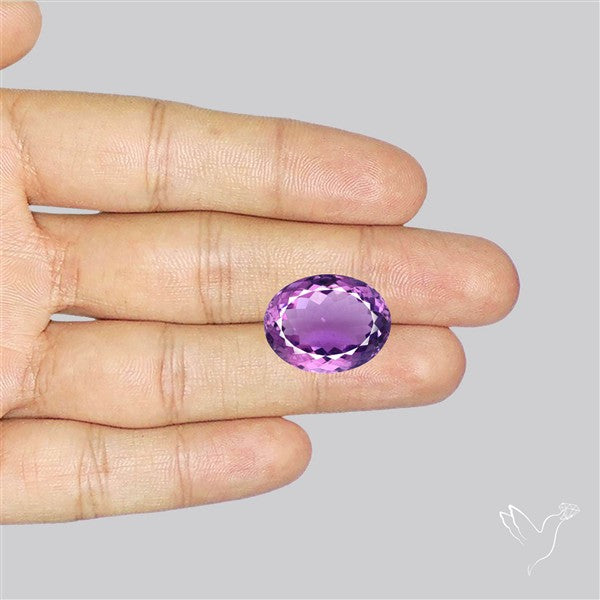 Brazilian Amethyst Clear Faceted Fine Gemstone