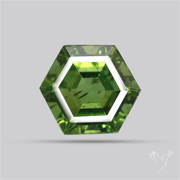 Rare Green Apatite Faceted Fine Gemstone Natural Geometric Shape