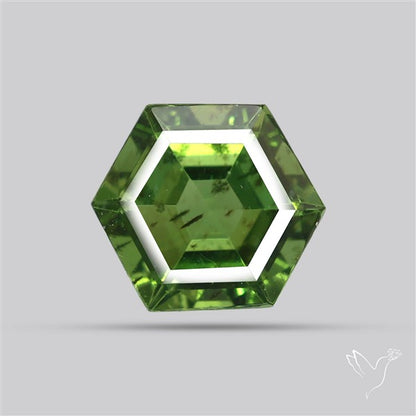 Rare Green Apatite Faceted Fine Gemstone Natural Geometric Shape