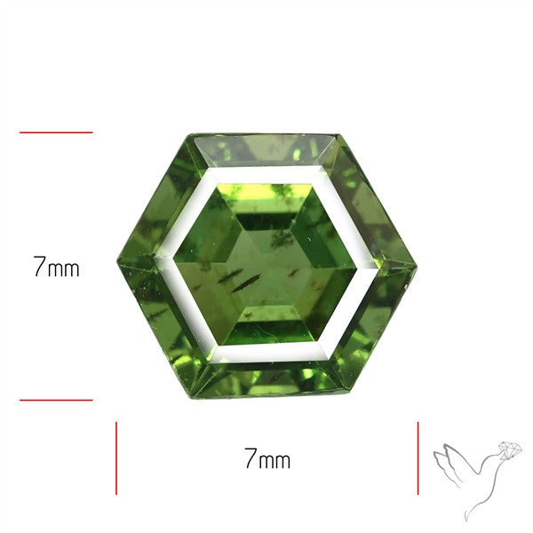 Rare Green Apatite Faceted Fine Gemstone Natural Geometric Shape