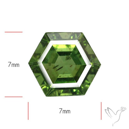 Rare Green Apatite Faceted Fine Gemstone Natural Geometric Shape