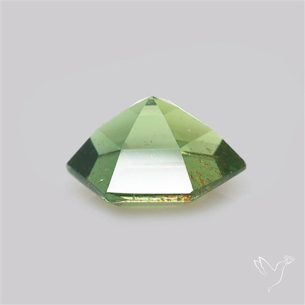 Rare Green Apatite Faceted Fine Gemstone Natural Geometric Shape
