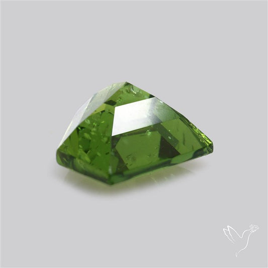Rare Green Apatite Faceted Fine Gemstone Natural Geometric Shape