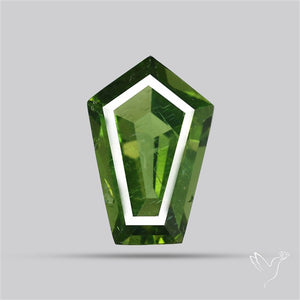 Rare Green Apatite Faceted Fine Gemstone Natural Geometric Shape