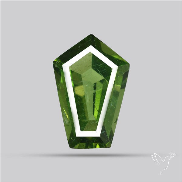 Rare Green Apatite Faceted Fine Gemstone Natural Geometric Shape