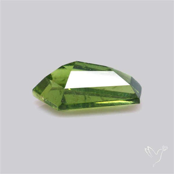 Rare Green Apatite Faceted Fine Gemstone Natural Geometric Shape