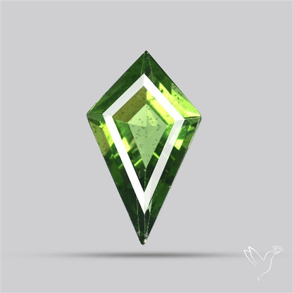 Rare Green Apatite Faceted Fine Gemstone Natural Geometric Shape