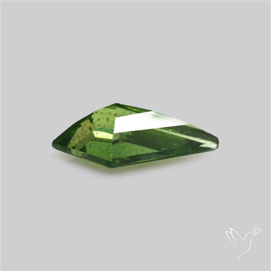 Rare Green Apatite Faceted Fine Gemstone Natural Geometric Shape