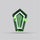 Rare Green Apatite Faceted Fine Gemstone Natural Geometric Shape