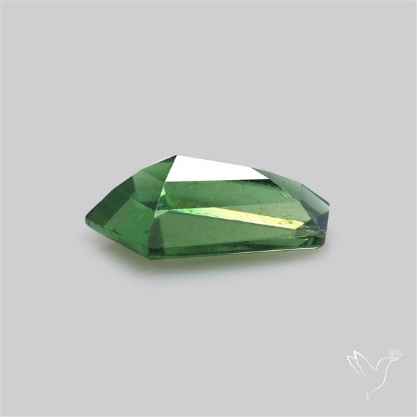 Rare Green Apatite Faceted Fine Gemstone Natural Geometric Shape
