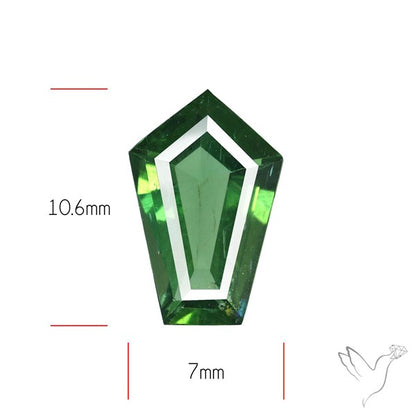 Rare Green Apatite Faceted Fine Gemstone Natural Geometric Shape