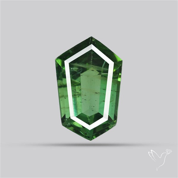 Rare Green Apatite Faceted Fine Gemstone Natural Geometric Shape