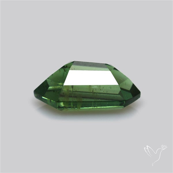 Rare Green Apatite Faceted Fine Gemstone Natural Geometric Shape