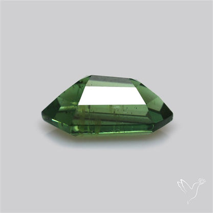 Rare Green Apatite Faceted Fine Gemstone Natural Geometric Shape
