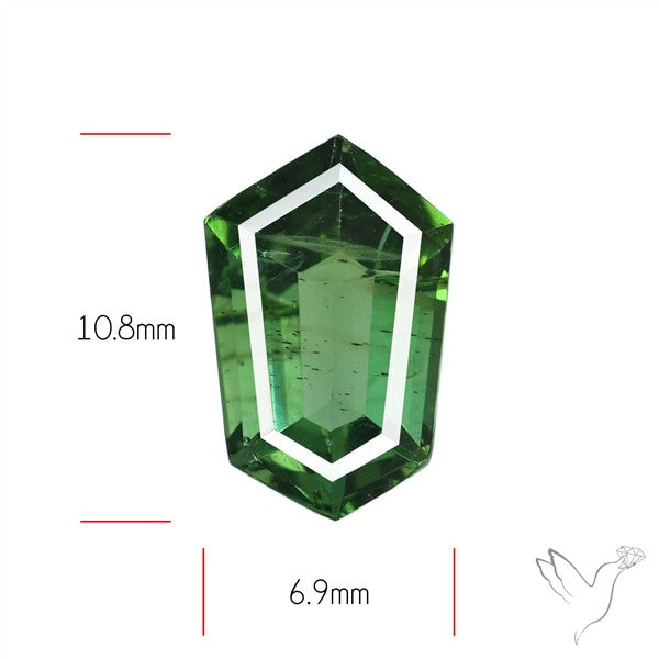 Rare Green Apatite Faceted Fine Gemstone Natural Geometric Shape