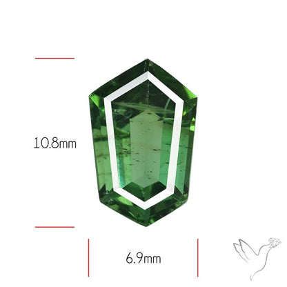 Rare Green Apatite Faceted Fine Gemstone Natural Geometric Shape