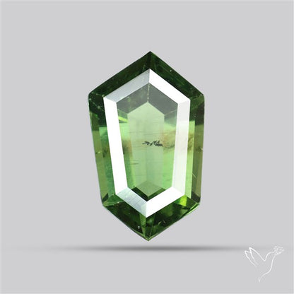Rare Green Apatite Faceted Fine Gemstone Natural Geometric Shape