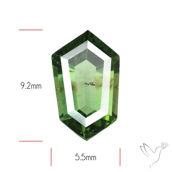 Rare Green Apatite Faceted Fine Gemstone Natural Geometric Shape