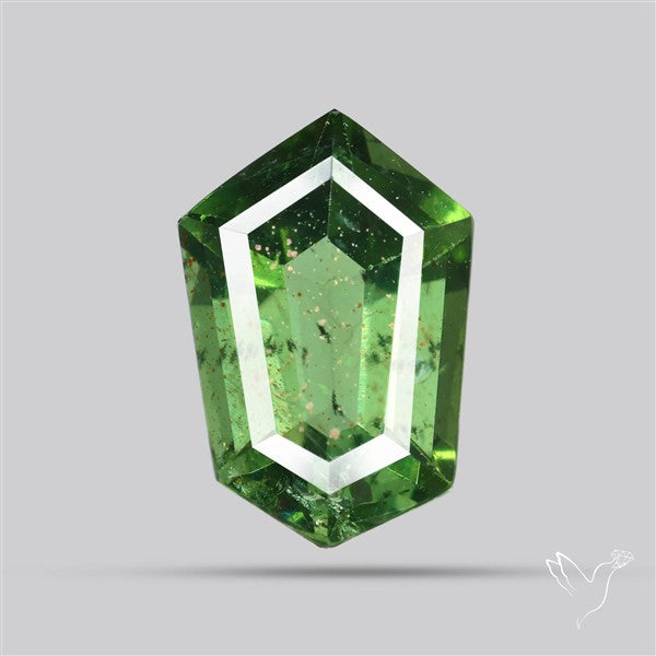 Rare Green Apatite Faceted Fine Gemstone Natural Geometric Shape