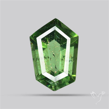 Rare Green Apatite Faceted Fine Gemstone Natural Geometric Shape
