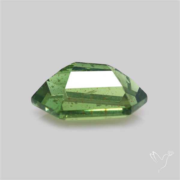 Rare Green Apatite Faceted Fine Gemstone Natural Geometric Shape