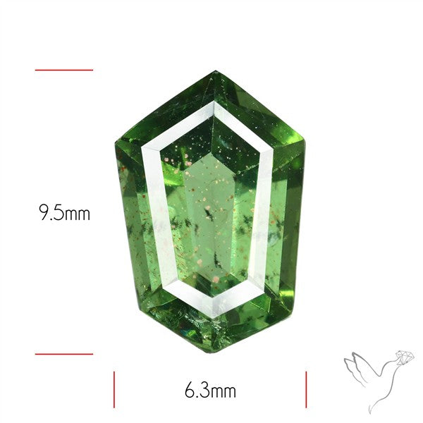 Rare Green Apatite Faceted Fine Gemstone Natural Geometric Shape