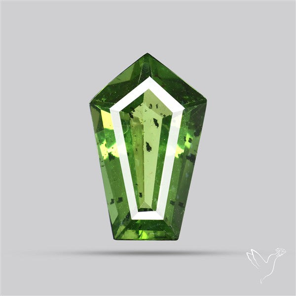 Rare Green Apatite Faceted Fine Gemstone Natural Geometric Shape