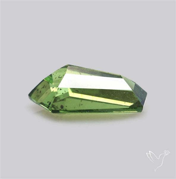 Rare Green Apatite Faceted Fine Gemstone Natural Geometric Shape