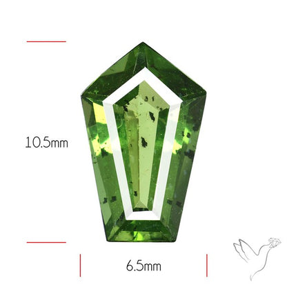 Rare Green Apatite Faceted Fine Gemstone Natural Geometric Shape