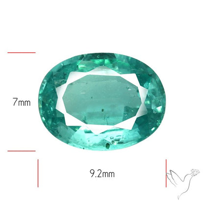 High Grade Faceted Paraiba Blue Kyanite Fine Gemstone