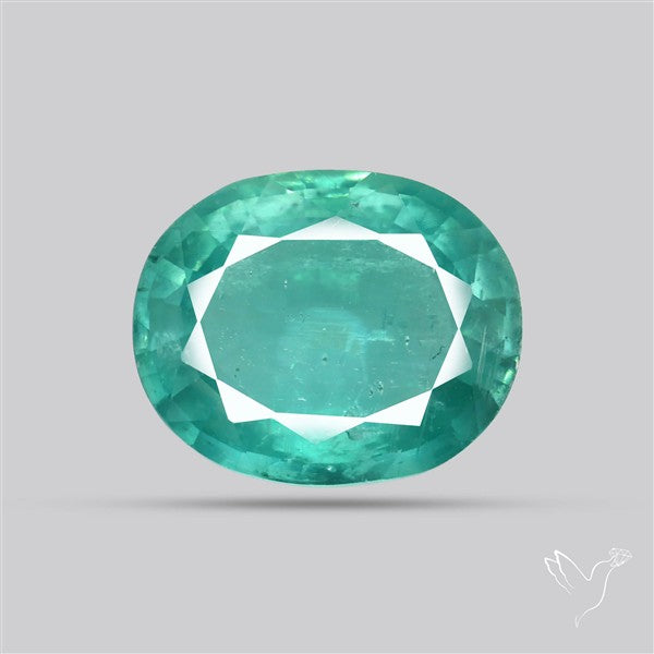 High Grade Faceted Paraiba Blue Kyanite Fine Gemstone