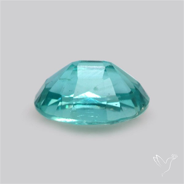 High Grade Faceted Paraiba Blue Kyanite Fine Gemstone