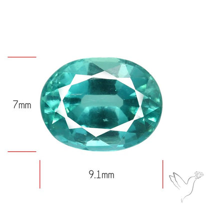 High Grade Faceted Paraiba Blue Kyanite Fine Gemstone