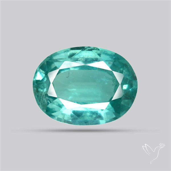 High Grade Faceted Paraiba Blue Kyanite Fine Gemstone